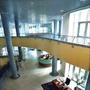 Villa Maria Cecilia Hospital - Cotignola